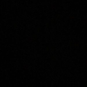 Meet your Posher, Monique